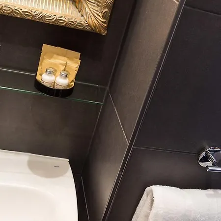 Victoria Chatelet Hotel 3*
